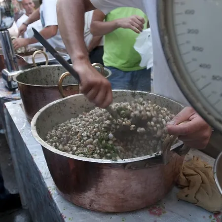 Hotel Hotel Ballaro *