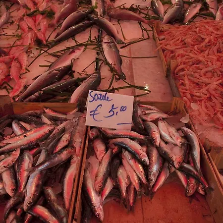 Hotel Ballaro Ξενοδοχείο Παλέρμο